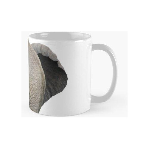 Taza Etiqueta Engomada Del Botín Del Elefante Calidad Premiu