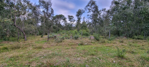 Venta Terreno En El Carril 600 M², San Antonio