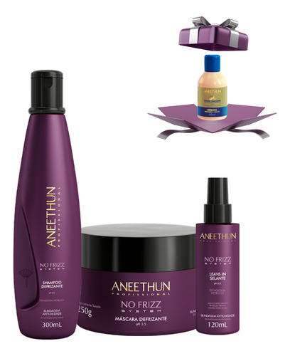 Aneethun No Frizz - Shampoo + Máscara + Leave In Antiumidade