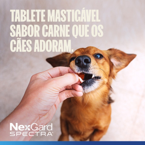 Nexgard Spectra Cães 7,6kg A 15kg 3 Tabletes