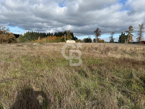 Parcelas 5.000 M² Cerca De Osorno