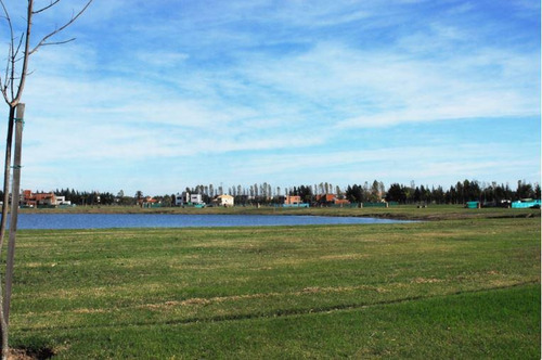 Imagen 4 de 8 de Terreno - San Gabriel