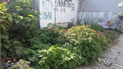 Terreno Comercial Para Locação, Prosperidade, São Caetano Do Sul - Te0364. - Te0364
