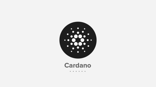 Cardano Ada - Moeda Digital - 10 Moedas Por R$ 35,00