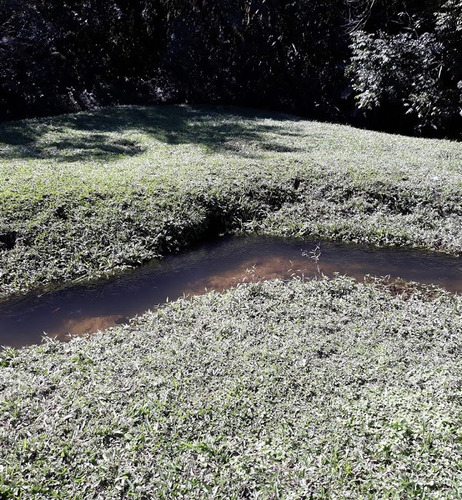 Imagem 12 de 14 de Terreno Com Lago Para Formação De Chácara