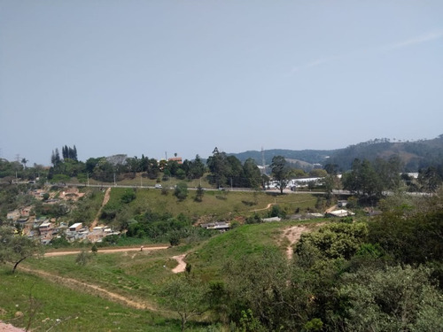 Imagem 18 de 19 de Terreno - Te00043 - 68500788
