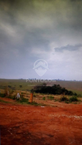 Imagem 14 de 23 de Excelente Fazenda - Martinópolis - 3841131v