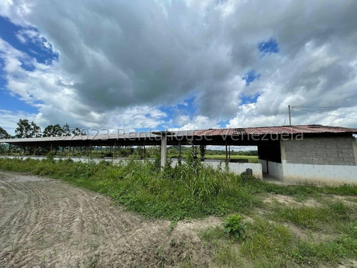 Carlos Colmenarez Felx 23-33543 Vende Finca Con 10 Hectareas Y 4.642 Mts Pozo Profundo De 80 Metros, Bomba De 14 Hp Luz Trifasica Laguna De 50 Por 40 Metros Cochinera De 30 Corrales