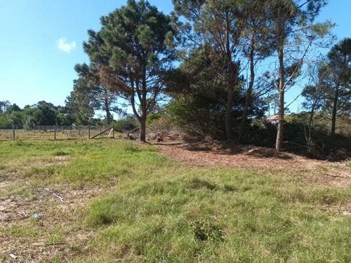 Terrenos En Punta Del Diablo, Zona Avenida Central, Bosque.