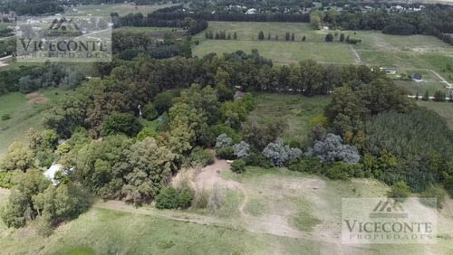 Excelente Campo En Venta. Partido De Brandsen. Bs.as