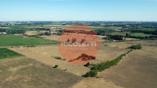 Imagen 12 de 21 de Campo - Chacra De 13,7 Has | Gowland | Mercedes