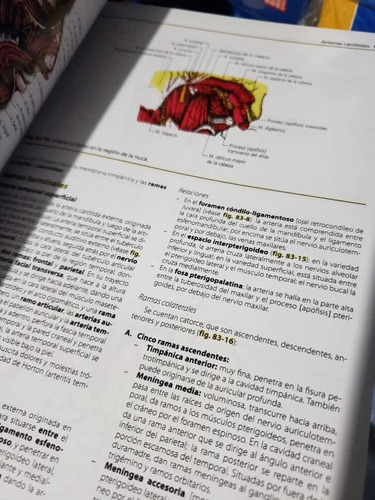 Anatomia De Latarjet 5ta Edición