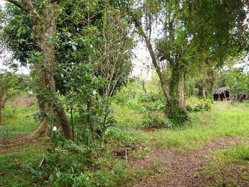 Terreno Em Belém Novo - Mi15729
