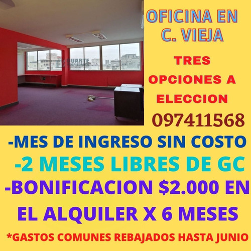 Enorme Oficina En Ciudad Vieja