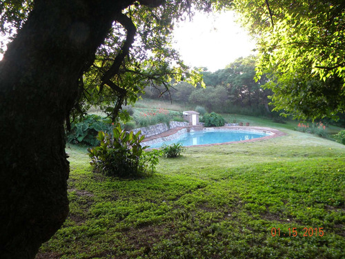 Imagen 26 de 30 de Se Venden 10 Ha En Valle Hermoso Con Servicios