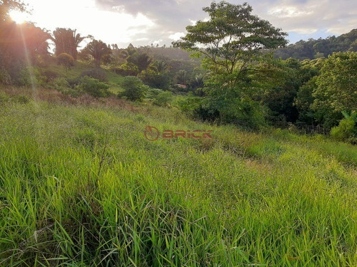 Imagem 14 de 16 de Sítio Com 27 Mil M² Em Sebastiana. - St00195 - 69410699