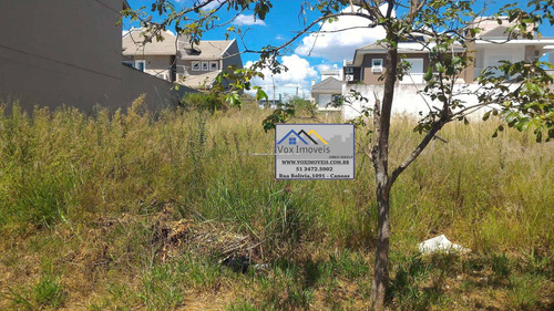 Imagem 9 de 15 de Terreno - Sao Luis - Ref: 45842 - V-45842