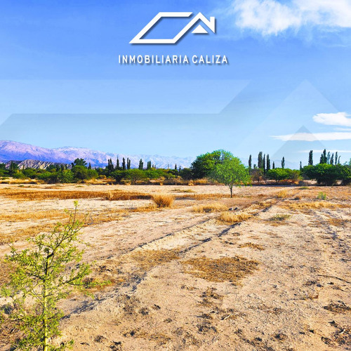 Finca Terreno Loro Huasi - Santa Maria - Catamarca