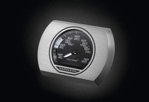 Barbacoa Napoleon A Gas Rogue R425