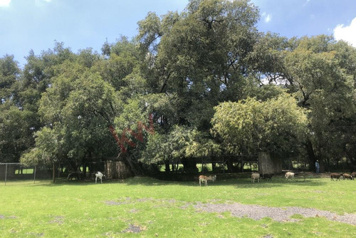 Vendo Terreno En Dos Ríos Prolongación San Frenando, Huixquilucan