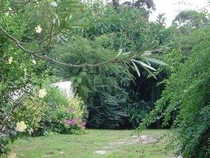 Dueño. Punta, Pinares P 27_ Confirmar Estadías