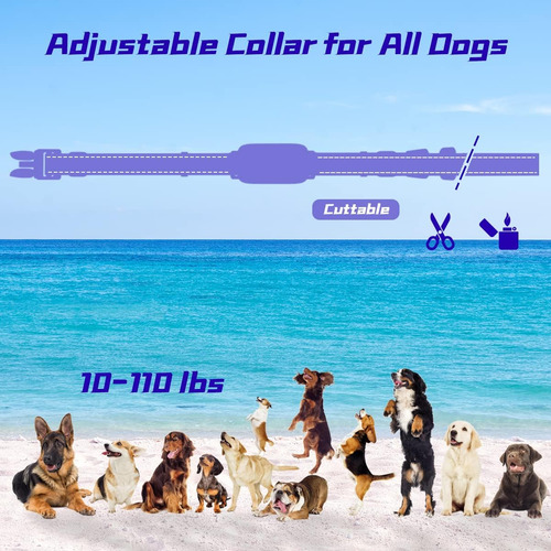 Collar Dog Shock Collar De Adiestramiento Para Perros Con...