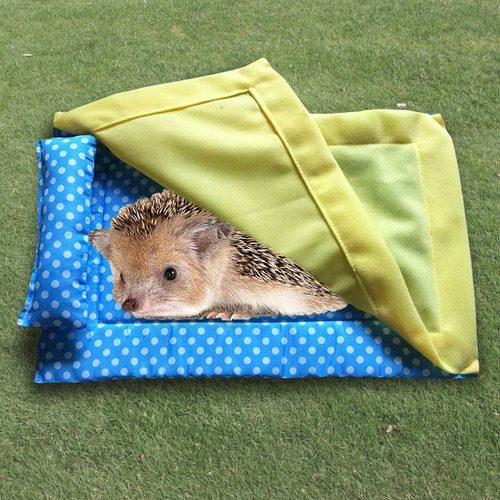 Saco De Dormir For Reptiles, Cama Cálida, Alfombra Azul