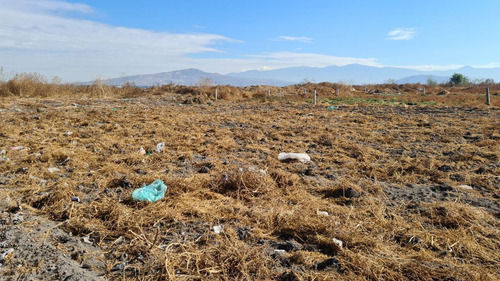 Terreno Comercial En Tlahuac