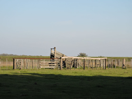 Imagen 5 de 14 de 84 Hectareas Campo, Castelli, Buenos Aires