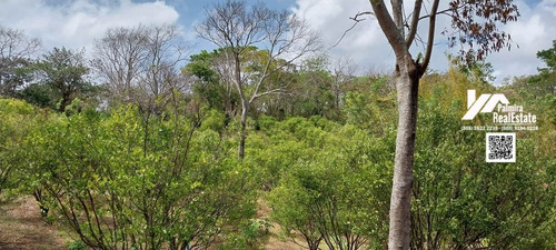 Imagen 2 de 6 de Venta De Finca De 2mz Agricola En Niquinohomo