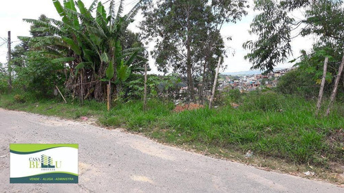 Imagem 4 de 5 de Terreno Residencial À Venda, Jardim Elba, Francisco Morato. - Te0015