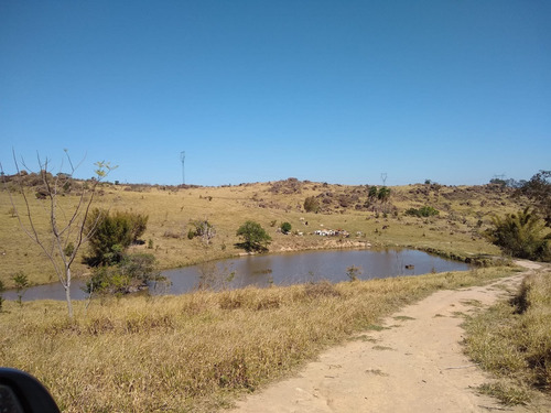 Imagem 15 de 26 de Fazenda 62 Alqueires, Sem Benfeitorias, Rica Em Água Com Lago E Nascentes, Pasto, Excelente Para Criação De Gados, Topografia Semi Plano - Fa00218 - 70653398