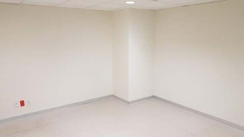 Oficina 226m2 Acondicionada Area Abierta Y Privados En Anzures