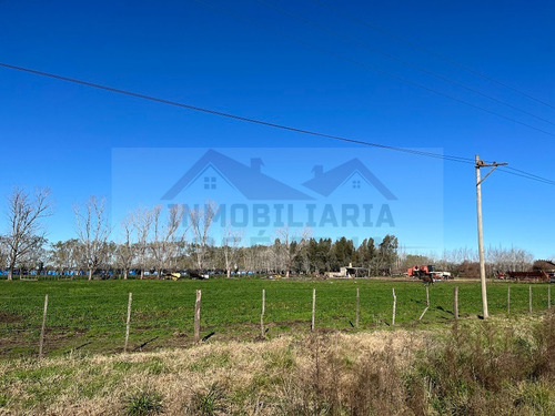 Parcela / Quinta / Chacra / Lote De 1 Ha. (10.000 M2) En Venta. Excelente Ubicación De General Belgrano. Zona De Calle 111 Y 178, Sociedad Rural.