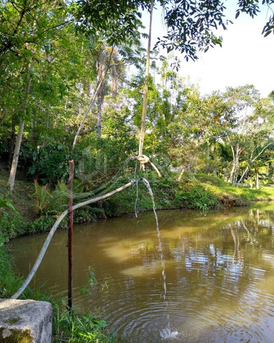 Imagem 16 de 16 de Venda - Sítio Dois Alqueires Com Casa Ampla - Piscina Lago E Córrego - Sítio Plano Em Monteiro Lobato - St00007 - 68409636