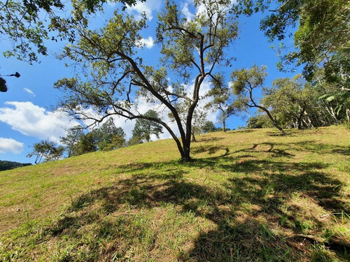 Imagem 30 de 30 de (110.000,00 M²) Lindo Imóvel À Venda, Com Boa Área Em Pasto E Com Infraestrutura Completa Para Montar Um Pesqueiro Ou Alugar Para Eventos. - 110 - 71036149