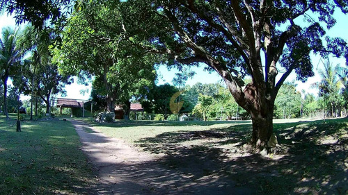 Imagem 8 de 30 de Sítio Em Jabuticaba Guarapari- Es. - Es - Ot0011_supp