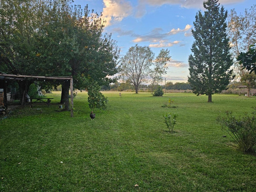 Chacra En Venta En Mercedes - Zona Cuartel 8vo