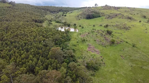 Imagem 22 de 26 de Fazenda 62 Alqueires, Sem Benfeitorias, Rica Em Água Com Lago E Nascentes, Pasto, Excelente Para Criação De Gados, Topografia Semi Plano - Fa00218 - 70653398