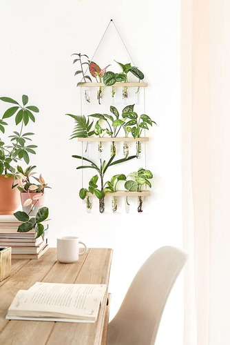 Tubos De Propagación, Plantas, Para Colgar En La Pared, Para