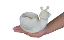 Comprar Maceta Caracol Souvenirs X 5 Unidades