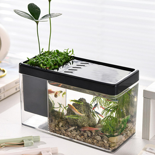 Pecera Betta Aquarium Transparente For Peces Betta Pequeña