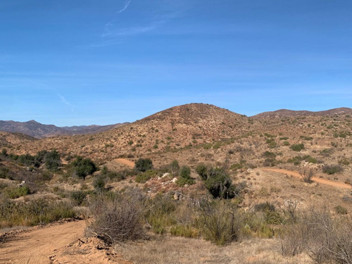 Terreno En Venta, Valle De Guadalupe, B.c.