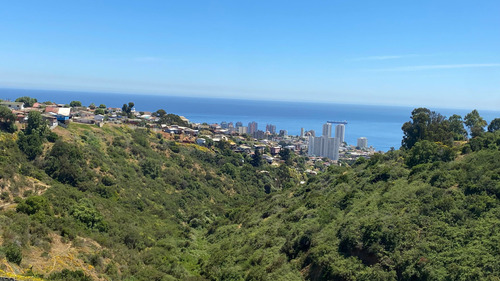 Arriendo Borinquen Viña Alto (81992)
