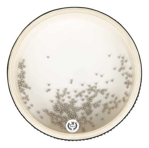 Remo Ocean Drum 16, 6 Pulgadas, Color Natural Transparente,