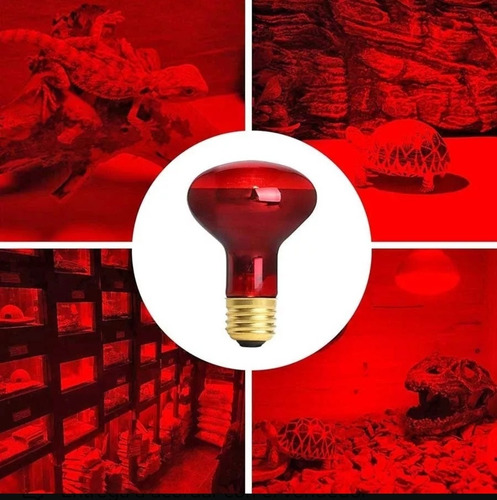 Focos Infrarojos Para Cerdos, Pollos 100w