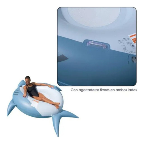Flotador Inflable Gigante Varios Diseños Resistente Duradero