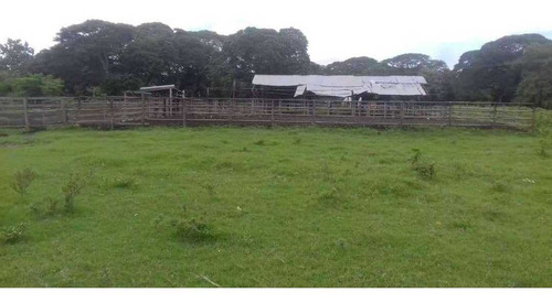 Imagen 3 de 11 de Finca De 600 Hectáreas En Arismendi