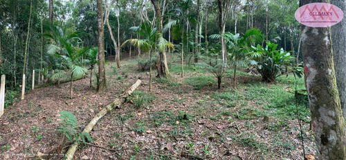 Chácara Para Venda Em Ribeirão Pires, Somma - 0785/2021_2-1159349