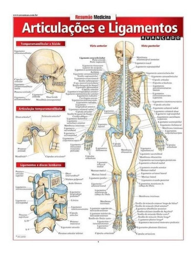 Resumao Medicina - Articulacoes E Ligamentos - Avancado - Ba, de Vicent Perez. Editora BARROS FISCHER E ASSOCIADOS LTDA, capa mole, edição 1 em português, 2017